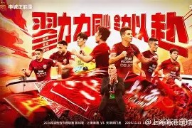 多米电子-上海海港足协杯半决赛
