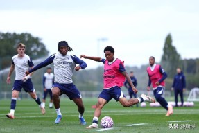 多米体育-deoremifasollasi